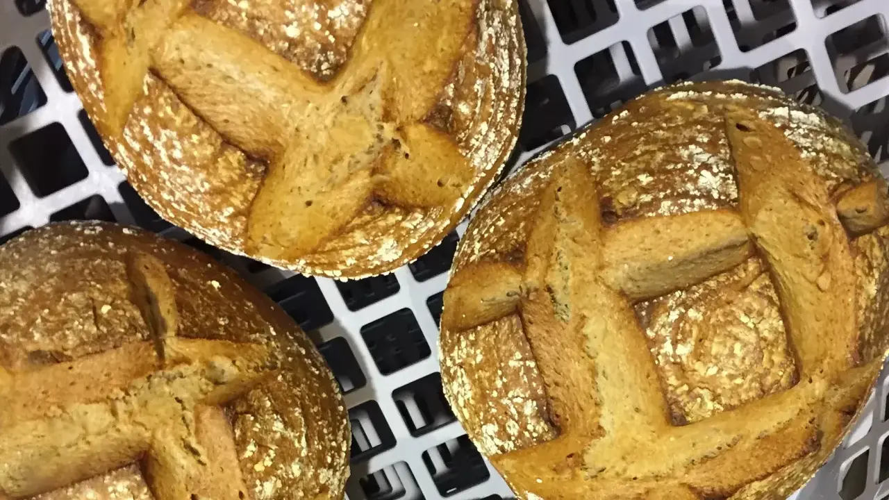 Trois pains au levain dorés, prêts pour la cuisson sur sole. Leurs croûtes craquelées et leurs incisions en croix promettent une texture parfaite.