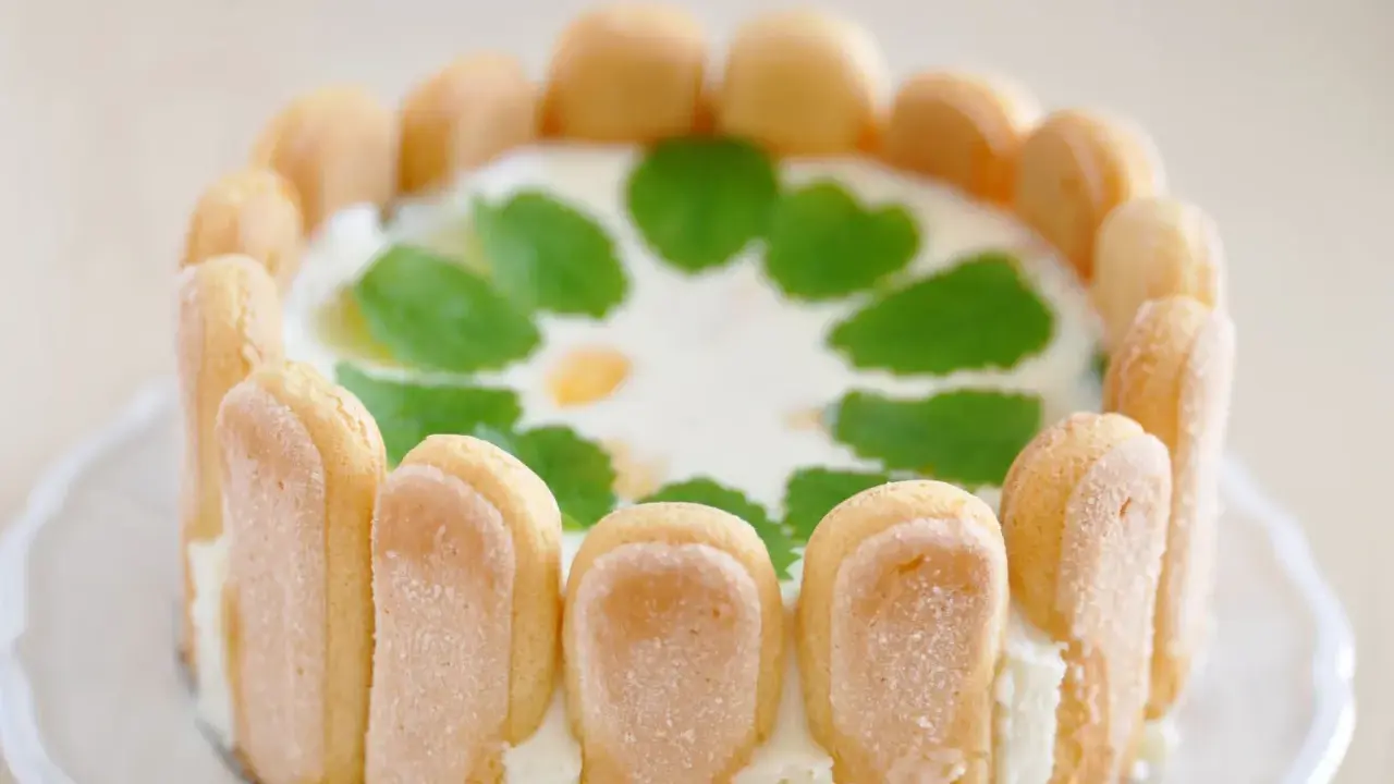 Un délicieux cheesecake citron, entouré de biscuits à la cuillère et décoré de feuilles de menthe.