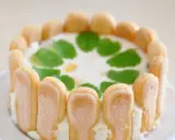 Un délicieux cheesecake citron, entouré de biscuits à la cuillère et décoré de feuilles de menthe.