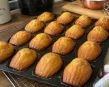 Une plaque de madeleines dorées sortant du four. Parfait pour une recette madeleines facile et gourmande.