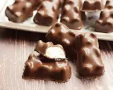 Délicieux oursons guimauve enrobés de chocolat, parfaits pour une recette gourmande. Un délice à croquer !