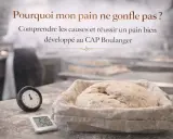 Pâte à pain dans un banneton, thermomètre et minuteur. Le texte interroge : pourquoi mon pain ne gonfle pas ?