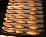 Des biscuits dorés en forme de dents de loup, prêts à être dégustés. Une recette simple pour un plaisir gourmand.