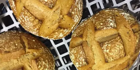 Trois pains au levain dorés, prêts pour la cuisson sur sole. Leurs croûtes craquelées et leurs incisions en croix promettent une texture parfaite.