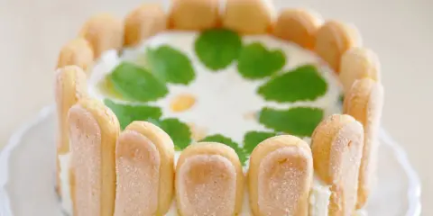 Un délicieux cheesecake citron, entouré de biscuits à la cuillère et décoré de feuilles de menthe.