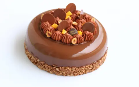 Entremet au chocolat avec un biscuit croustillant pour entremet, garni de rochers chocolatés, noisettes et dés de mangue.