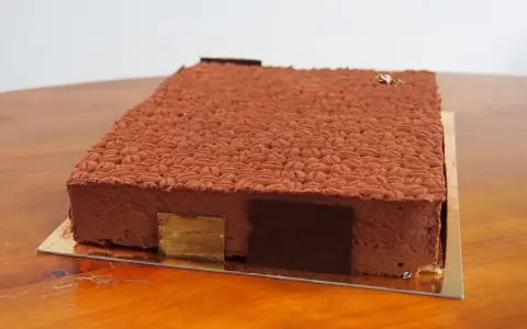 Gâteau rectangulaire au chocolat, décoré d'une texture rappelant des grains de café. Une recette insert crémeux café qui promet une dégustation exquise.