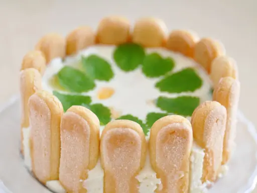 Un délicieux cheesecake citron, entouré de biscuits à la cuillère et décoré de feuilles de menthe.