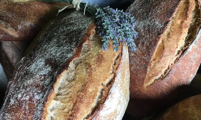Baguettes dorées, garnies de lavande fraîche. Un délice artisanal, parfait avec du levain avec levure de boulanger.