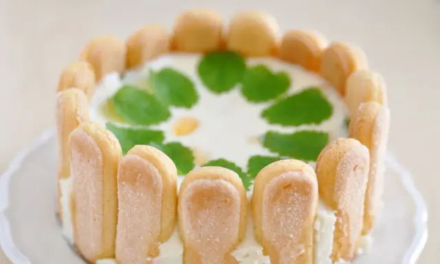 Un délicieux cheesecake citron, entouré de biscuits à la cuillère et décoré de feuilles de menthe.