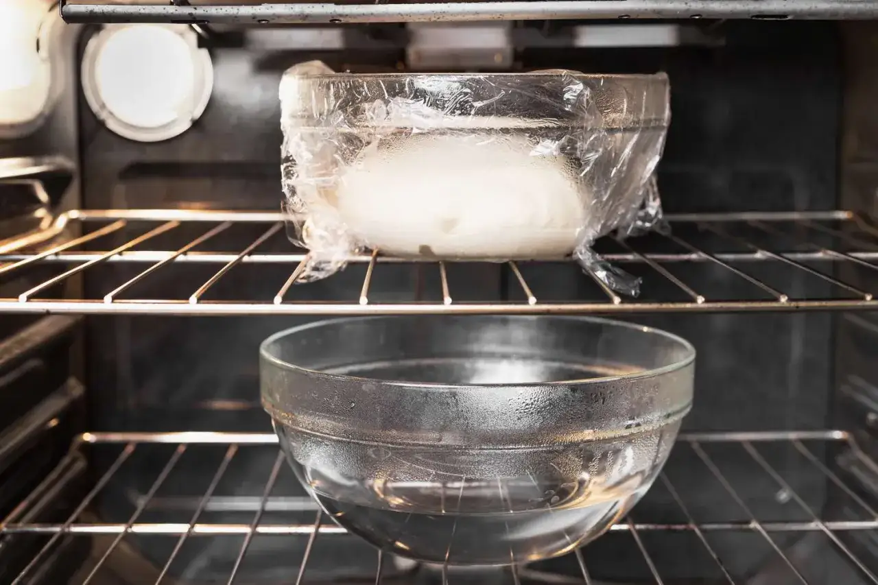Dans un four, une p&acirc;te &agrave; pain repose dans un bol sous film plastique, au-dessus d'un bol d'eau. La fonction &eacute;tuve du four cr&eacute;e un environnement id&eacute;al.