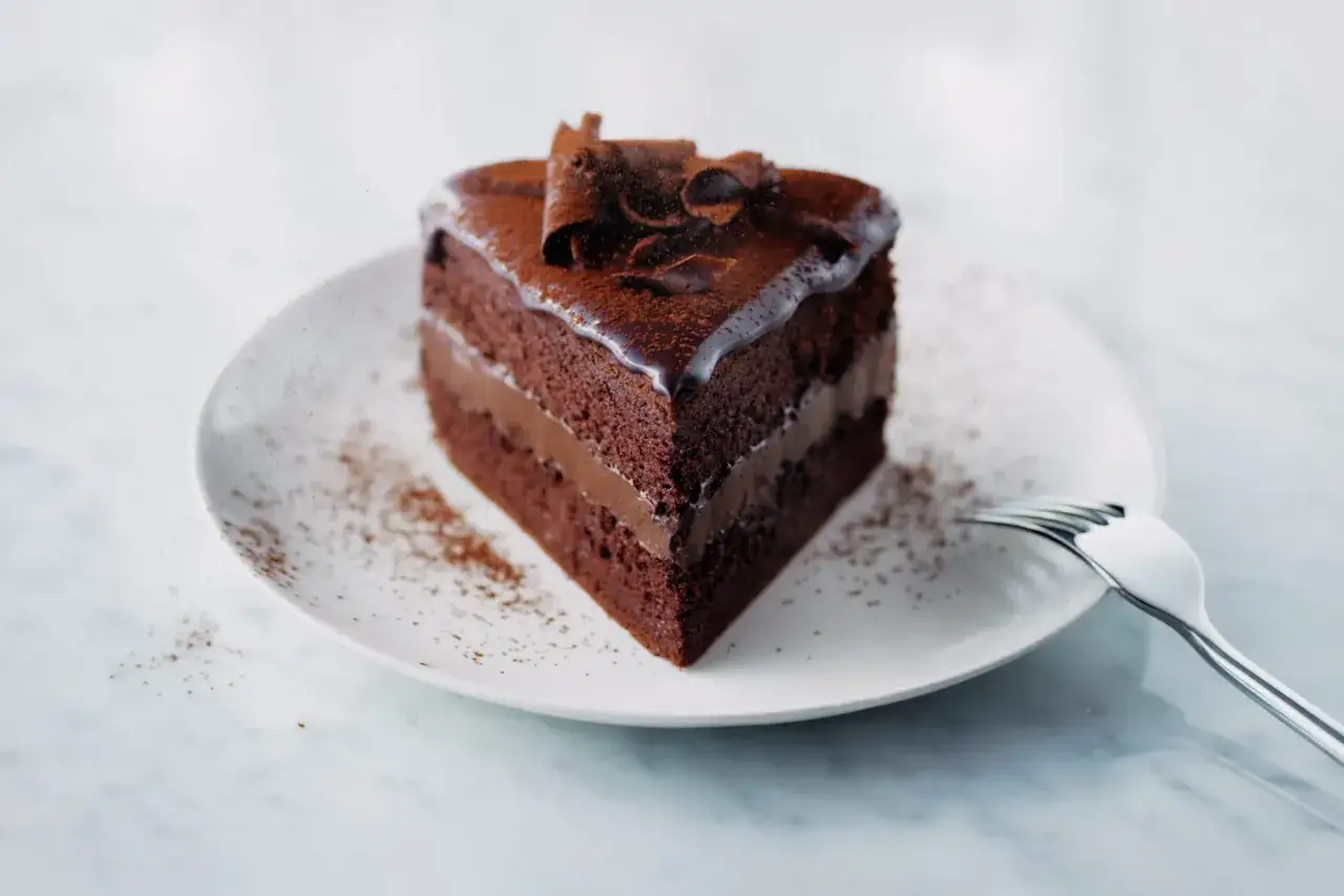 Tranche de g&acirc;teau au chocolat noir, garnie de copeaux de chocolat et saupoudr&eacute;e de cacao. Une fourchette est pos&eacute;e &agrave; c&ocirc;t&eacute;.
