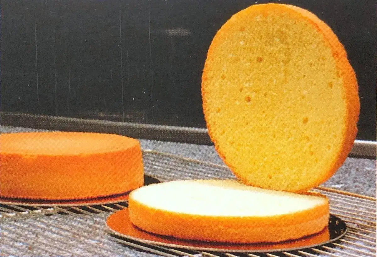 Trois disques de gâteau génoise dorés et aérés, prêts à être assemblés pour une création sucrée.