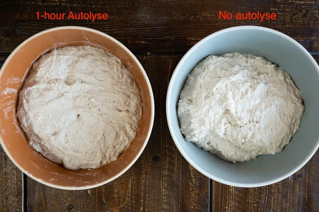 Deux p&acirc;tes &agrave; pain dans des bols : une avec autolyse d'une heure, plus lisse, et une sans autolyse, plus rugueuse.